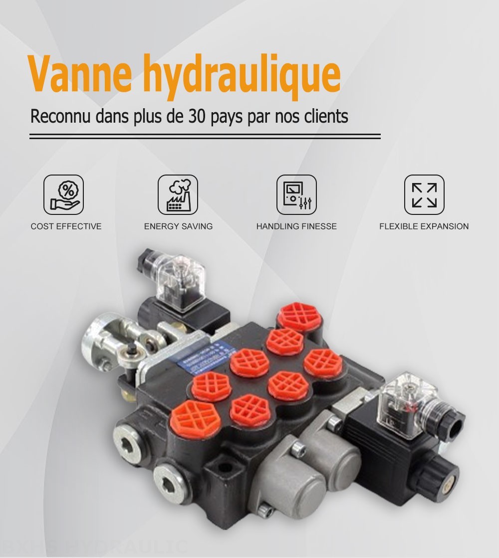 P40 Solénoïde et manette 3 distributeurs Distributeur directionnel monobloc